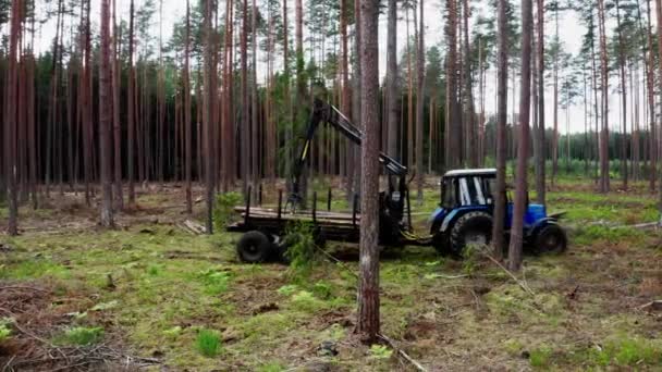 De oogstmachine die in een bos werkt. Een machine plukt stammen en stopt ze in een trailer in het bos. — Stockvideo