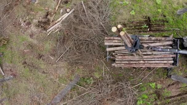 AERIAL, CERRAR: Volando por encima del camión maderero poniendo una pila de troncos cortados delimitados y troncos de árboles en un tractor apilado en un bosque denso y cubierto. — Vídeos de Stock