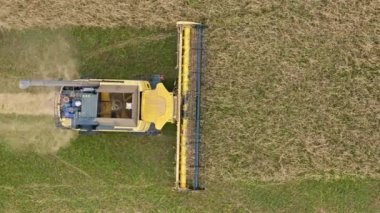 Havadan görünüşlü sarı hasat makinesi tarlalarda çalışıyor. Hasat süreci. Tarım gıda üretimi. Tarlada çalışan hasat makinesi..