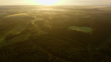 Ormanda sabah sisi var. Şafakta yaz ormanında. Kozalaklı orman ağaçlarının görkemli drone görüntüsü tepelik arazide parlak sabah güneşiyle büyüyor..