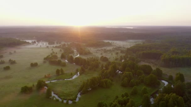 O drone aéreo voa sobre o rio sinuoso flui através do prado verde e da floresta. Nevoeiro sobre a superfície da água, de manhã cedo. Voando alto acima da via navegável antes do nascer do sol. Amanhecer nebuloso, vale verde idílico — Vídeo de Stock