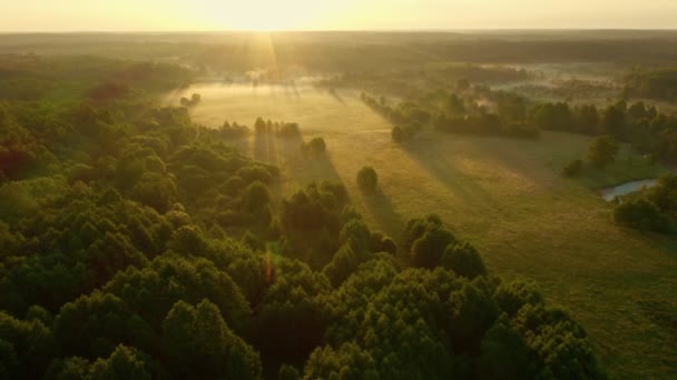 Aereo drone vola sopra fiume tortuoso scorre attraverso prato verde e foresta. Nebbia sulla superficie dell'acqua, mattina presto. Volare in alto sopra la via d'acqua prima dell'alba. Aurora nebbiosa, idilliaca valle verde — Video Stock