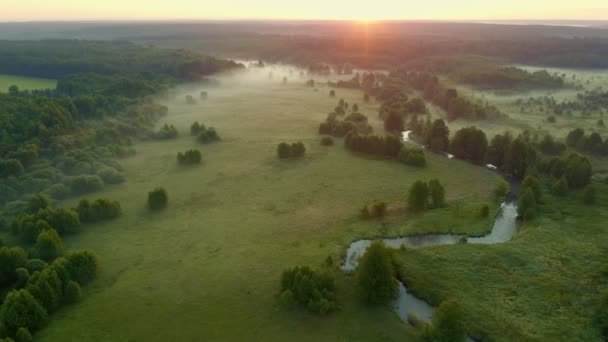 Drohnen fliegen über gewundene Flussläufe durch grüne Wiesen und Wälder. Nebel über der Wasseroberfläche, am frühen Morgen. Hoch über dem Wasser vor Sonnenaufgang. Neblige Morgendämmerung, idyllisches grünes Tal — Stockvideo