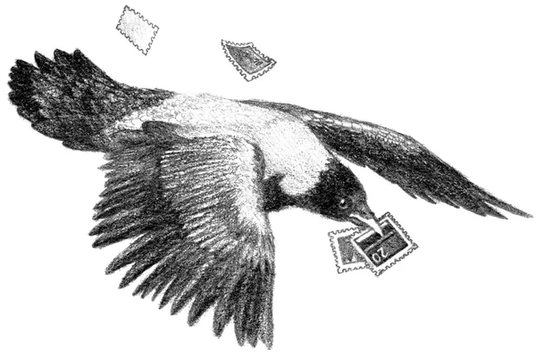 Karga pullar
