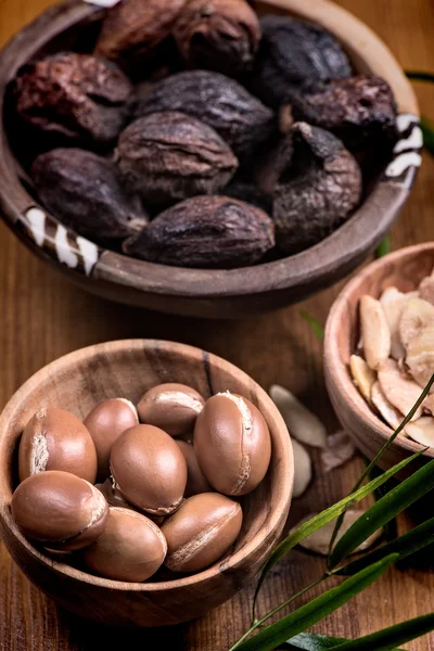 Frutos de argan e composição de óleo — Fotografia de Stock