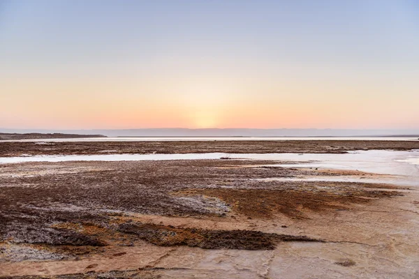 Cristal de sal no Mar Morto — Fotografia de Stock