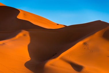 Erg African çöl dunes