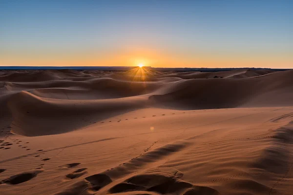 Wschód słońca na pustyni sahara — Zdjęcie stockowe