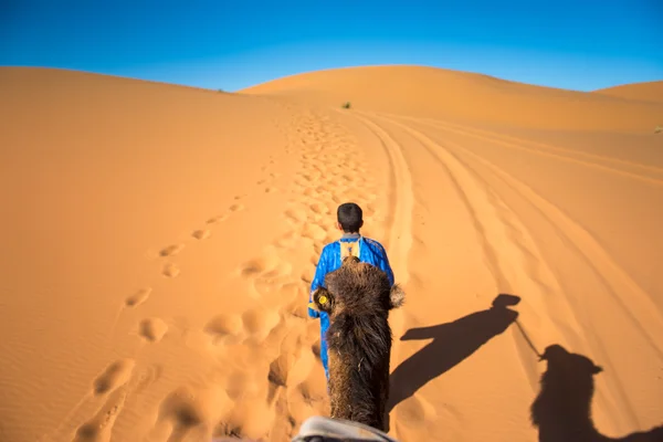 Tuareg walking in Sahara desert — Stock Photo, Image
