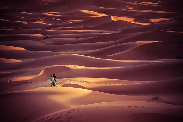 People walk in dunes of Sahara desert — Stock Photo, Image