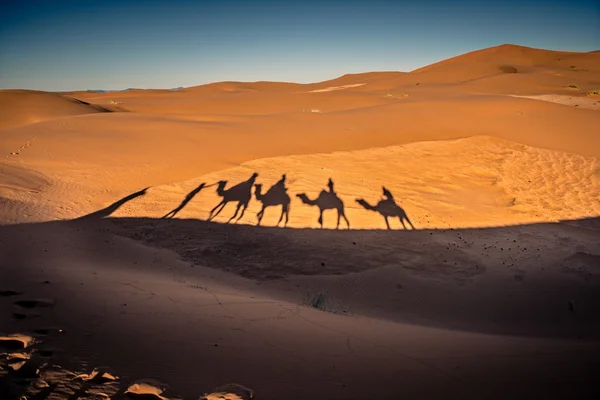 Schaduwen van kameel caravan in de woestijn — Stockfoto
