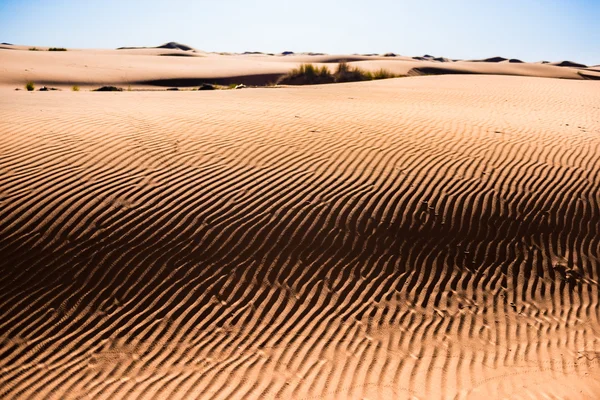 Dunas de areia no deserto — Fotografia de Stock