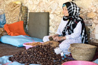 argan bir kadın Kooperatifi çalışan kadın