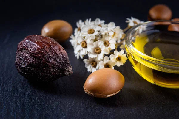Argan fındık ve tohum yağı ile