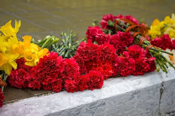 Claveles Para Día Victoria Mayo Conmemoración Los Soldados Caídos Gran —  Fotos de Stock