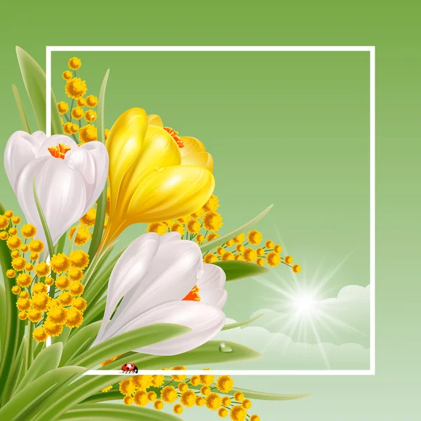 Lente-ontwerp met lente bloemen — Stockvector