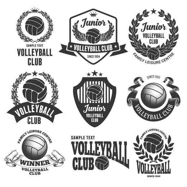 Wappen des Volleyball-Clubs gesetzt — Stockvektor