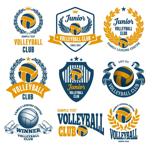 Embleme des Volleyball-Clubs gesetzt — Stockvektor