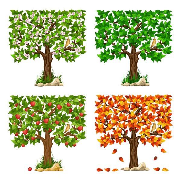 Juego Árbol Frutal Con Pájaro Árbol Primavera Verano Otoño Con — Vector de stock