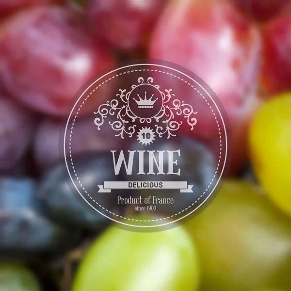 Grape wine background — Stock Vector