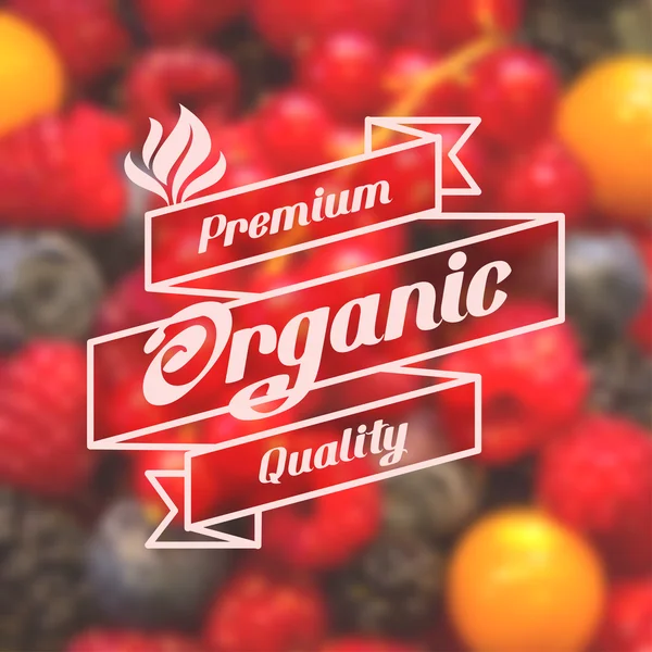 Makanan organik - Stok Vektor
