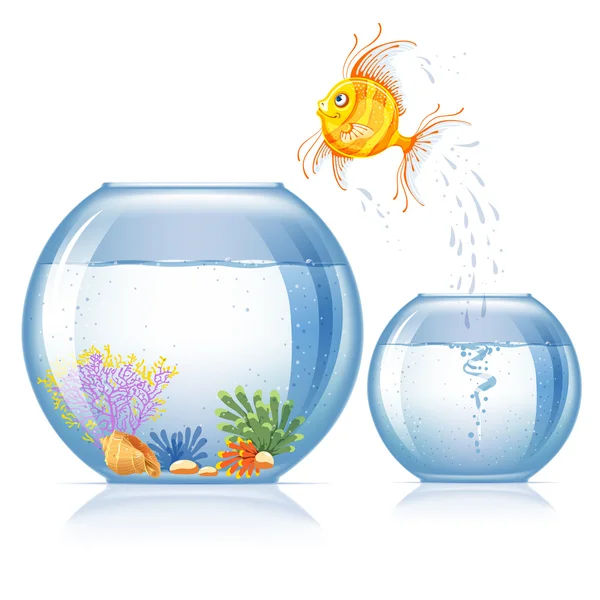 Peces y acuario — Vector de stock