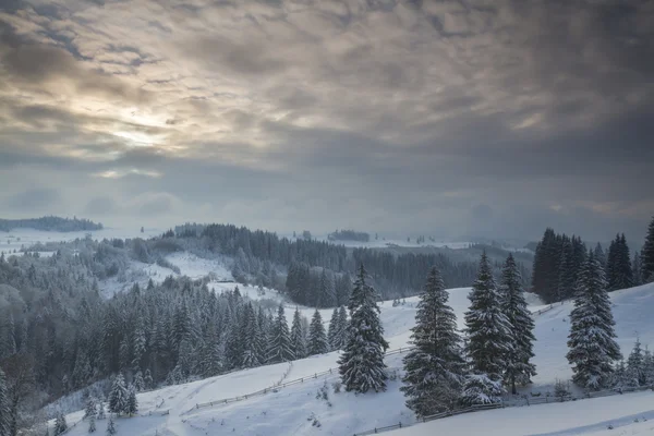 Historia del invierno — Foto de Stock