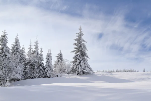 Historia del invierno — Foto de Stock