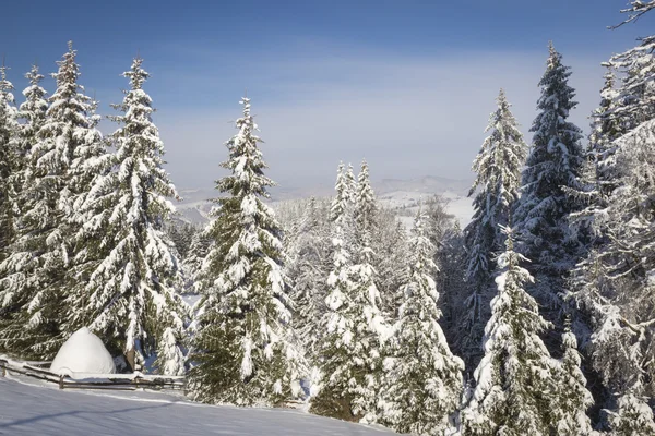 Historia del invierno — Foto de Stock