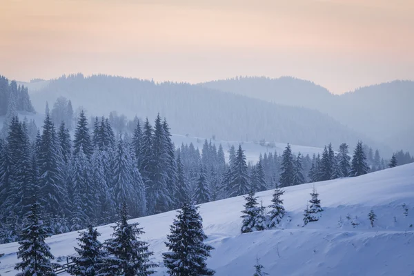 Historia del invierno — Foto de Stock