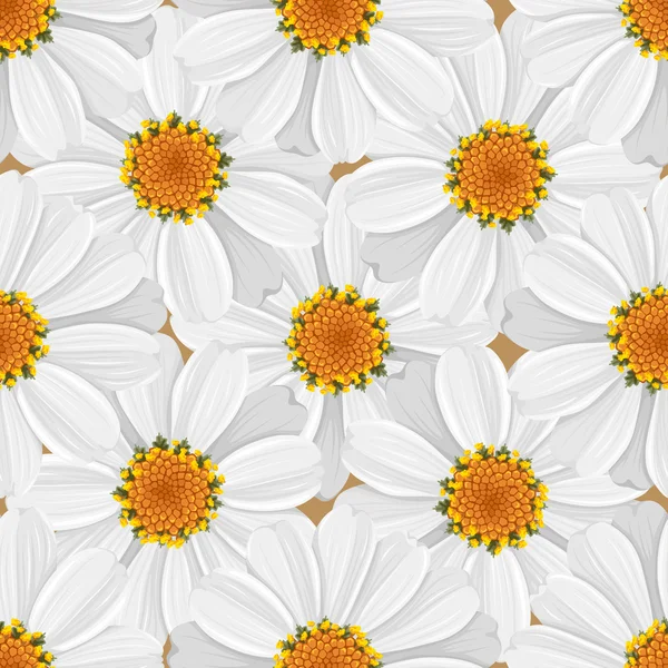 Motif floral sans couture - marguerite — Image vectorielle