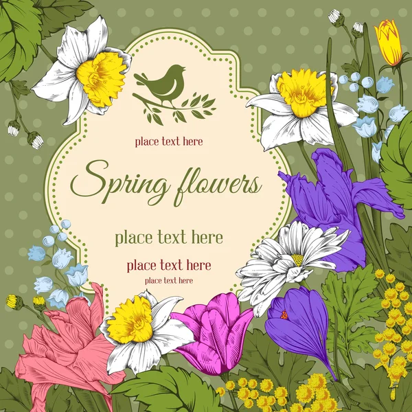 Frühlingsblumen — Stockvektor