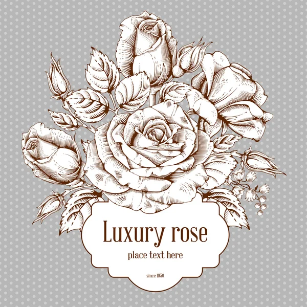 Luxus rose — Stock Vector