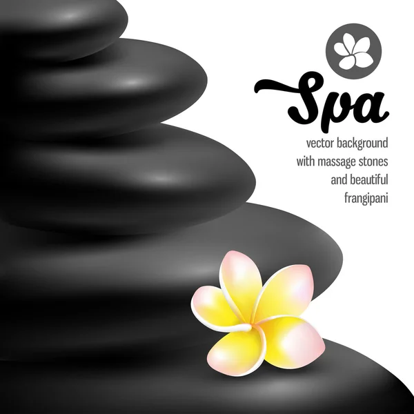 Spa Pierres de massage — Image vectorielle