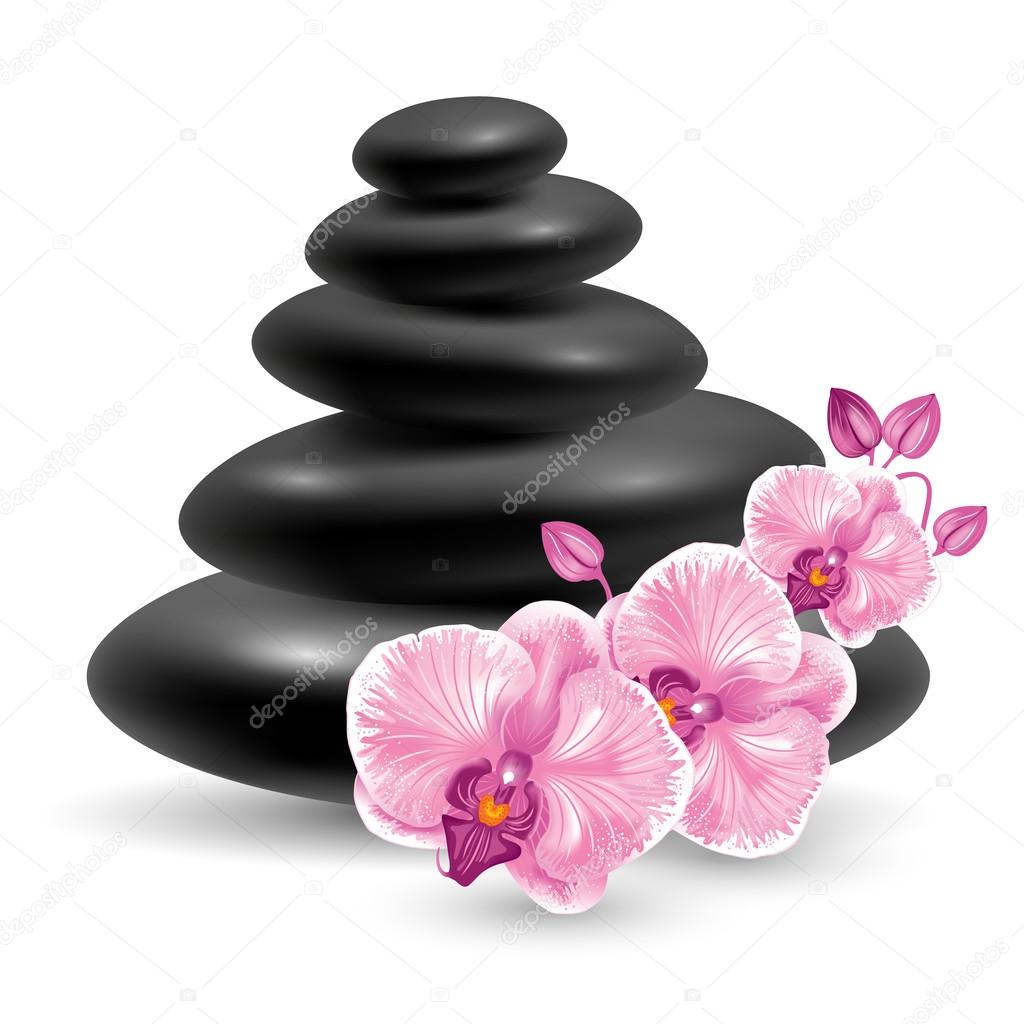 Spa massage stones Stock Vector Image by ©Pazhyna #72446765