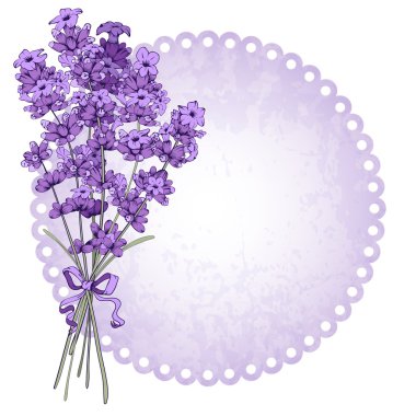 lavanta