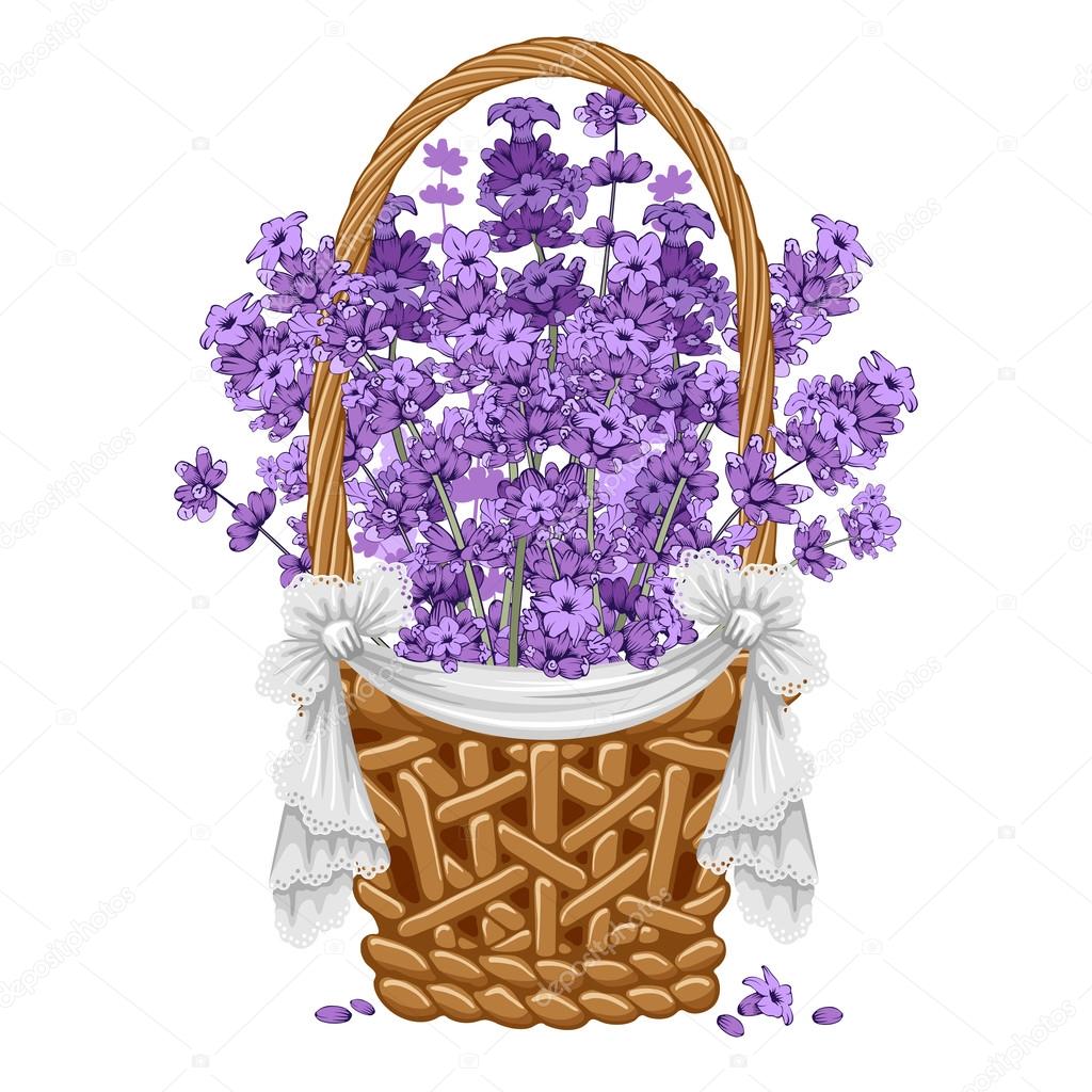 Lavender in basket