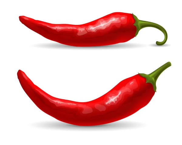 Červená chilli paprika — Stockový vektor