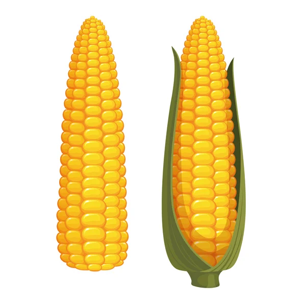 Кукуруза — стоковый вектор