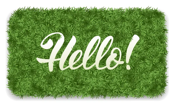 Hallo Matte mit dem grünen Gras — Stockvektor
