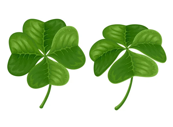 Green Four-leaves Shamrock Isolated — Stock Vector