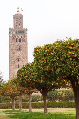 Marakeş 'teki Koutoubia Camii