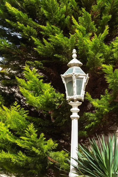 Vintage Beautiful Carved White Lamppost Park Lantern White Paint Background — Stock Photo, Image