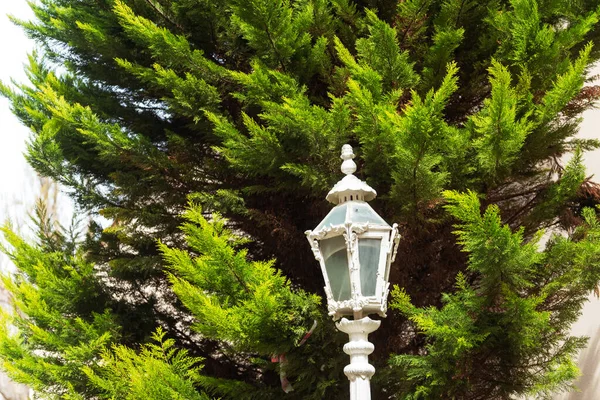 Vintage Beautiful Carved White Lamppost Park Lantern White Paint Background — Stock Photo, Image