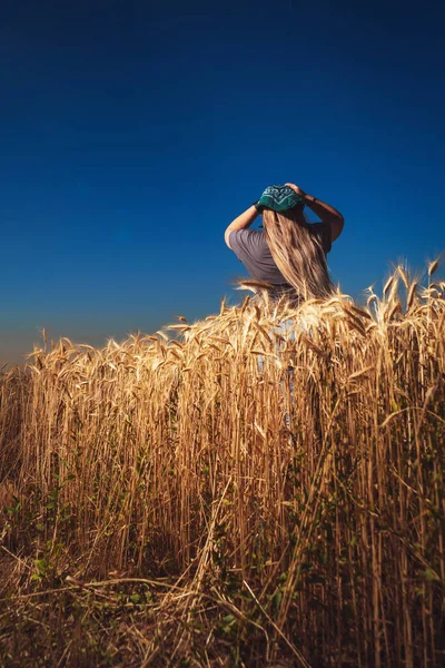 Girl Kerchief Wheat Field Stylish Woman Grain Field Fashion Photo — Stock Photo, Image