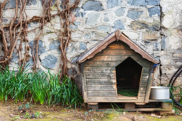 イスタンブールの公園で犬の犬小屋を散歩してください トルコの木造犬小屋 野良動物のための家や場所 — ストック写真