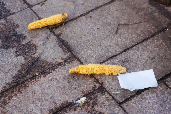 Orecchie Mais Mezzo Mangiato Sul Marciapiede Terra Chicchi Mais Sul — Foto Stock