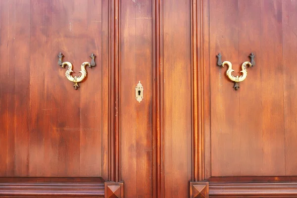 Metal Gilt Handles Wooden Door Beautiful Keyhole Door Knocker Handle — Stock Photo, Image