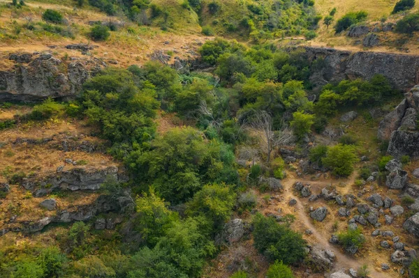 カザフスタン南部のトルコ地方のマシャット ダババ山脈 ドババ渓谷の空中ビュードローン 黄色の草原と緑の森の質感 — ストック写真
