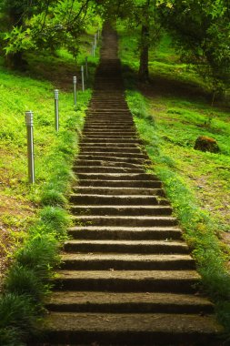 Georgia botanik bahçesindeki yüksek merdivenler. Batumi 'deki taş merdiven. Georgia 'da zor tırmanış
